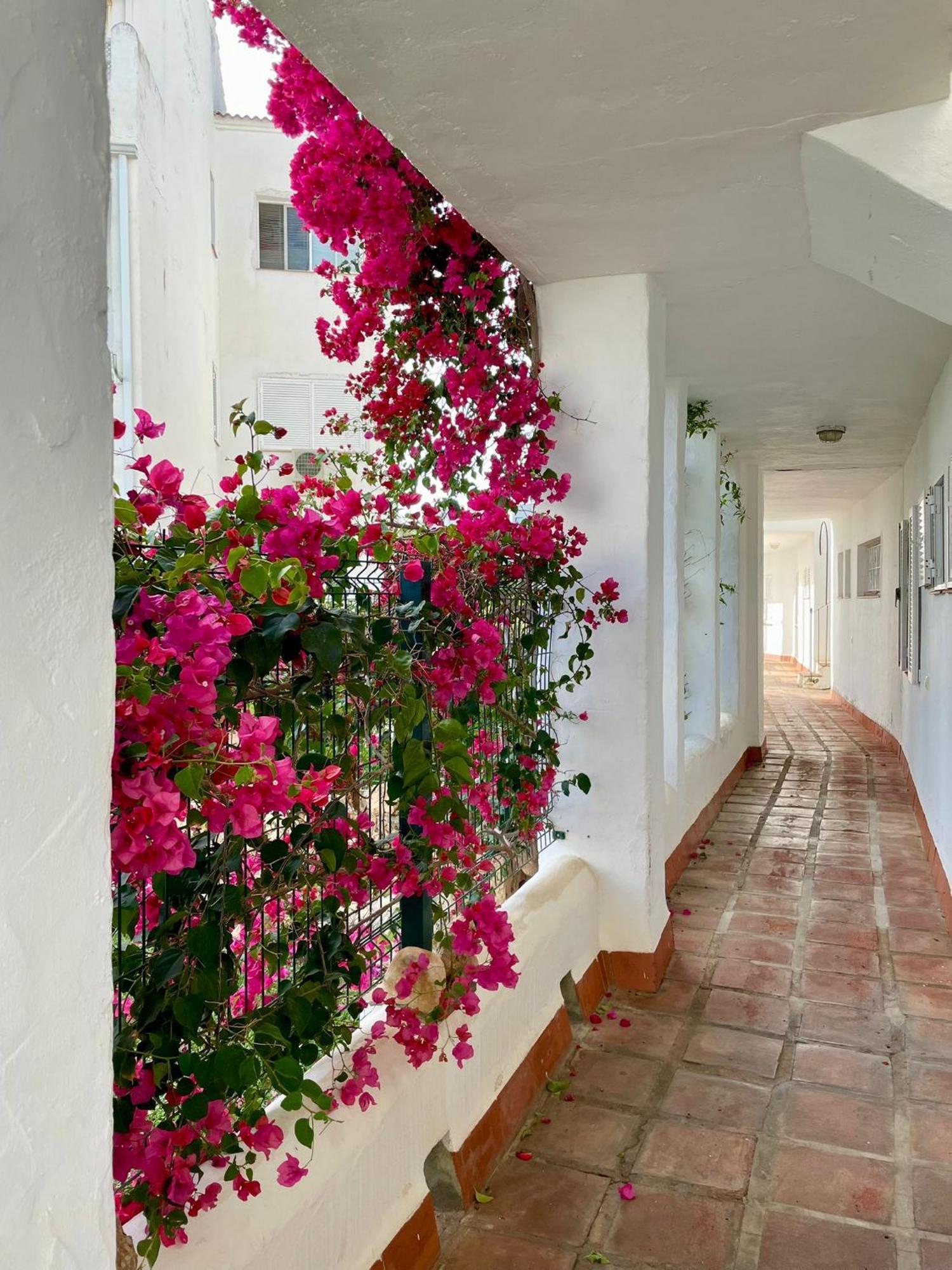 Appartement Sun Castle à Fuengirola Extérieur photo